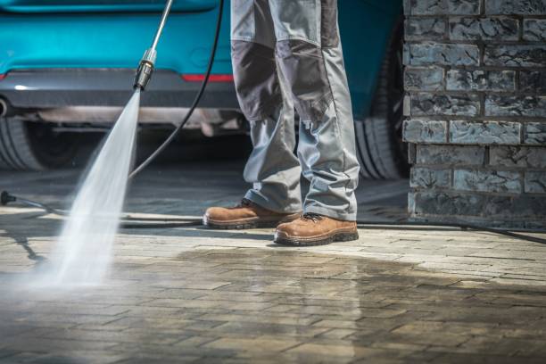 Best Roof Washing  in Kodi, AK