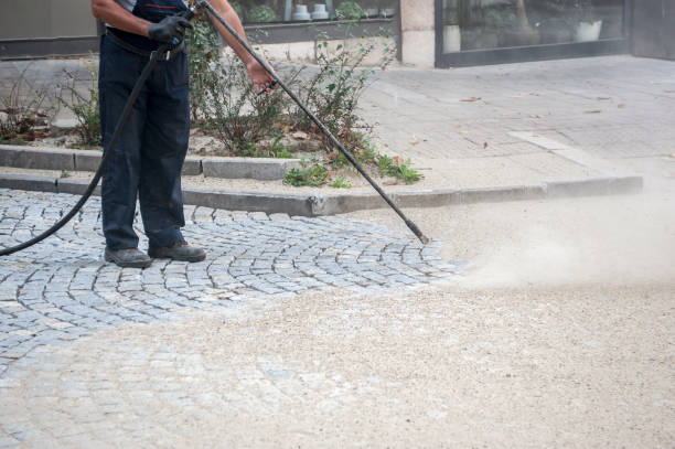 Best Driveway Pressure Washing  in Kodi, AK